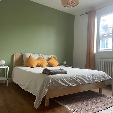 Chez Leonine, Maison En Centre Nyaraló Tours