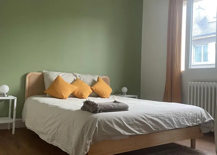 Chez Leonine, Maison En Centre 度假居 图尔